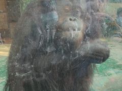 -泉州海丝野生动物世界