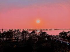 -宝安西湾红树林湿地公园