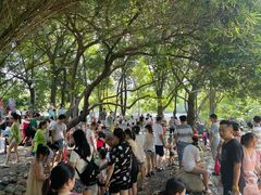 -成都市活水公园