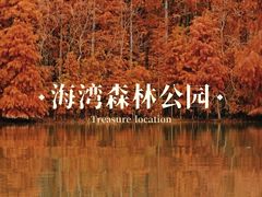 -上海海湾国家森林公园