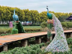 -广东花都香草世界旅游度假区