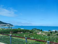 -崂山仰口游览区