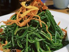 炝拌野沙葱-胖老汉新疆特色椒麻鸡(南门店)