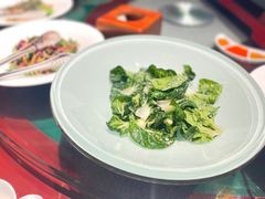 生炝木耳菜-九十九顶毡房(阜石路店)