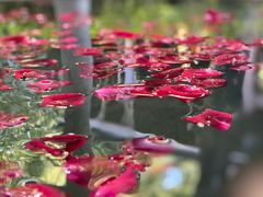 -和顺柏联温泉