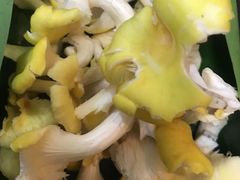 -木王宴语·野生鲜菌火锅(玉河店)