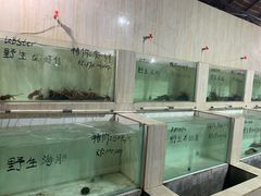 -海盗餐厅