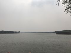 -丁香湖公园
