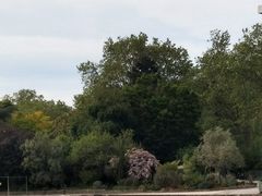 -Bateaux Mouches塞纳河游船