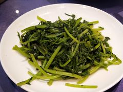 清炒茼蒿-双东酒店(东关街店)