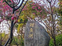 -福建鲤鱼洲酒店