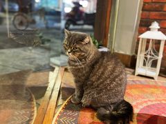 -B.O.M波姆烘焙(凤凰街店)