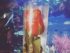 -迪拜帆船酒店海底餐厅