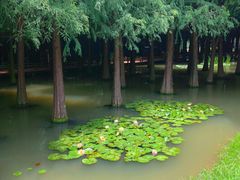 -捞渔河湿地公园