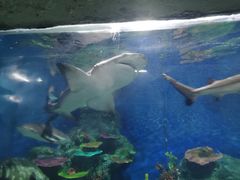 -泉州海丝野生动物世界