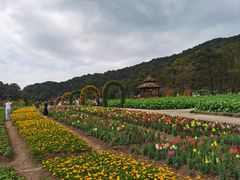 -广州市石门国家森林公园