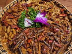 -老滇山寨•云南特色菜•地方菜•民族风情歌舞表演(金碧店)