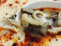 -教师之家赵家羊汤馆(东青龙街店)