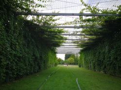 -圣露庄园·草坪婚礼·宴会厅·会议