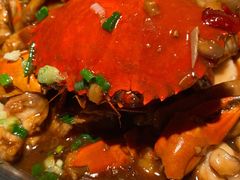招牌肉蟹煲-胖哥俩肉蟹煲(济南世茂国际广场店)