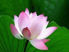 -东海海鲜酒家(中信广场店)