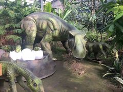 -呀路古热带植物园