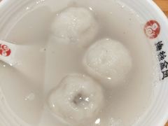 -海丝金凤(金鱼店)