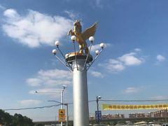 -胜华驾校·小猫学车(银都店)