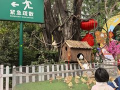-广州长隆国际大马戏
