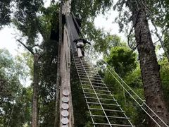 -西双版纳原始森林公园