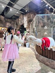 -宝燕乐园(闵行旗舰店)