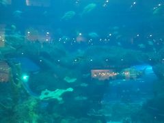 -成都浩海立方海洋公园