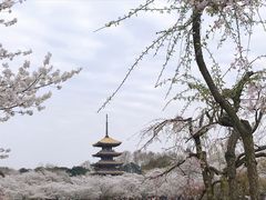 -东湖生态旅游风景区