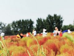 -汉长安城未央宫国家考古遗址公园