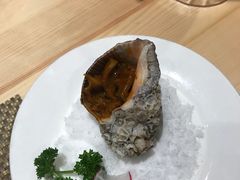 -菊上日式料理(蚌埠银泰店)