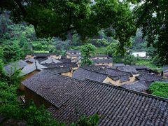 -杨家堂村