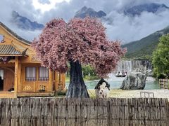 -玉龙雪山蓝月谷