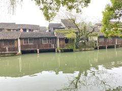 -乌镇景区