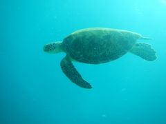 DSCN0518-卡帕莱度假村(西巴丹岛)