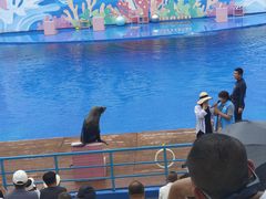 -北戴河圣蓝海洋公园