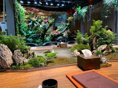 -森味薪火烧•烧鸟居酒屋•日本料理(望京店)