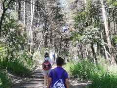 -帽儿山国家森林公园