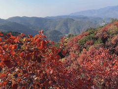 -九如山休闲旅游度假区