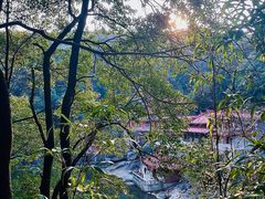 -九鲤湖风景区