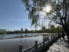-莲花池公园