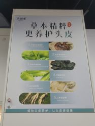-诗碧曼养发