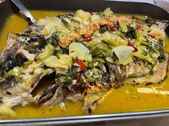 -鱼酷活鱼烤鱼(沈阳大悦城店)