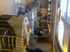 android_upload_pic-金百万烤鸭店(马甸店)