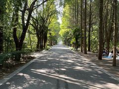 -同里国家湿地公园