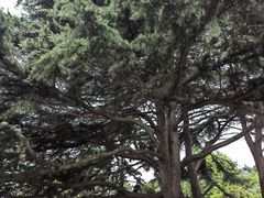 -青岛德国总督楼旧址博物馆